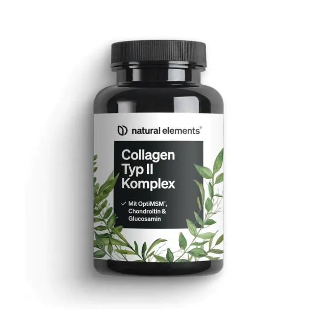 Natural Elements Collagen Typ II Komplex gélules 90 articulations