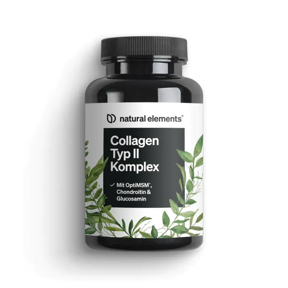 Natural Elements Collagen Typ II Komplex gélules 90 articulations