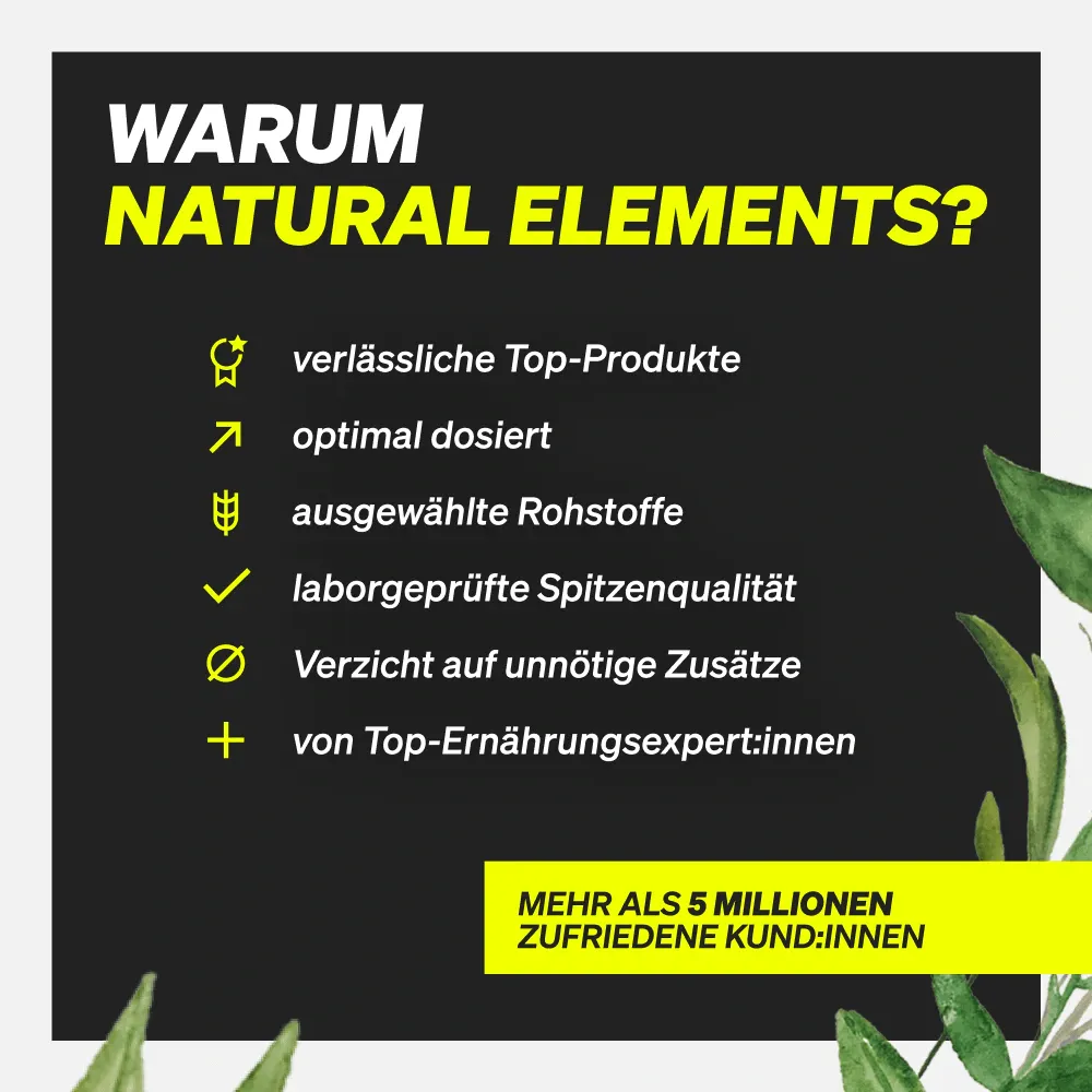 Natural Elements Protein Riegel barre protéinée Mixed