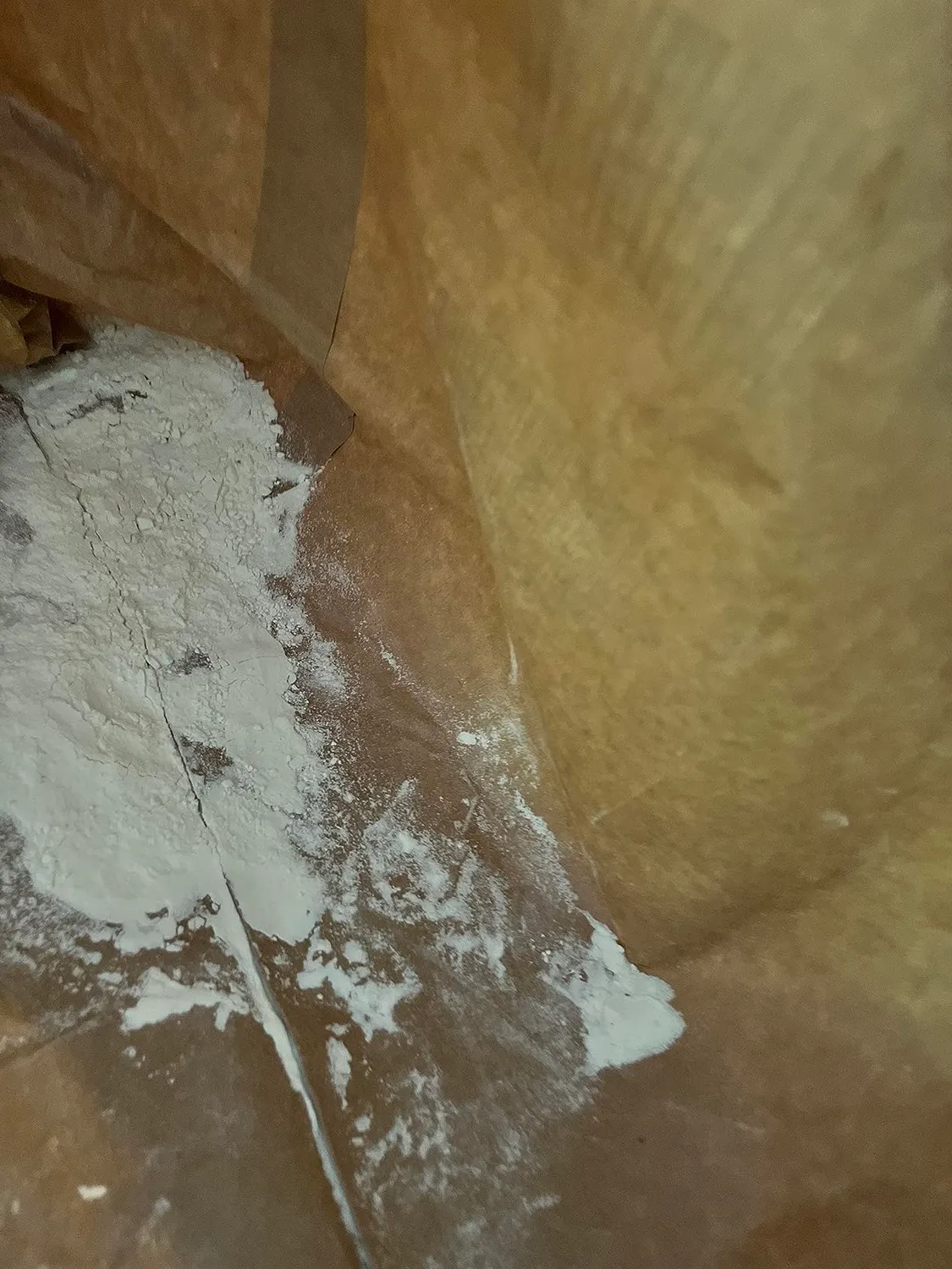 BULK Essential Whey protéines de lactosérum vanille 1 kg