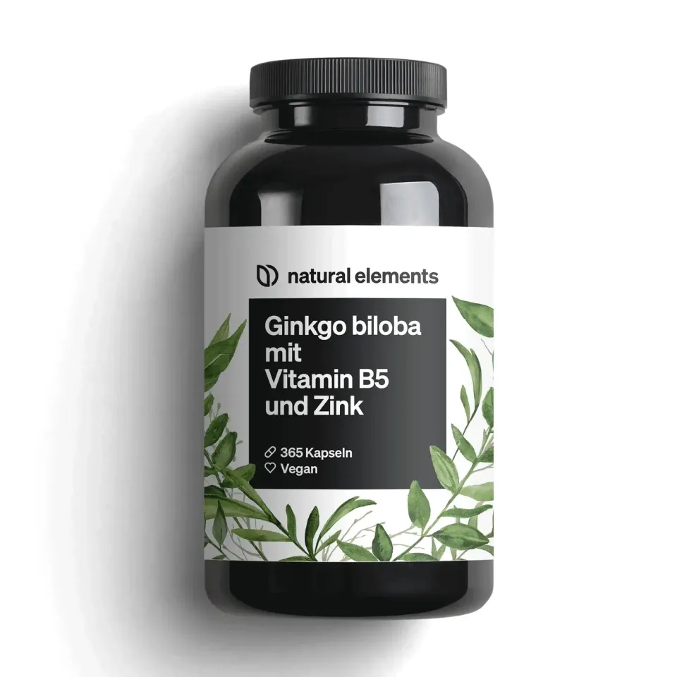 Natural Elements Ginkgo Biloba avec vitamine B5 et zinc gélules 365 unités
