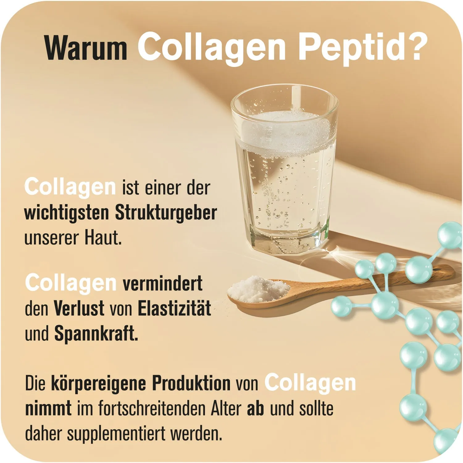AllStars Collagen Peptides poudre 300 g bovin neutre
