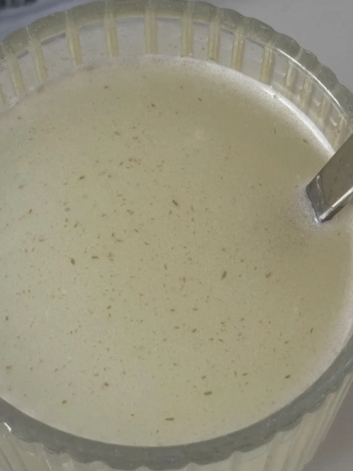 BULK Pure Whey Isolate 90 isolat de whey vanille 1 kg