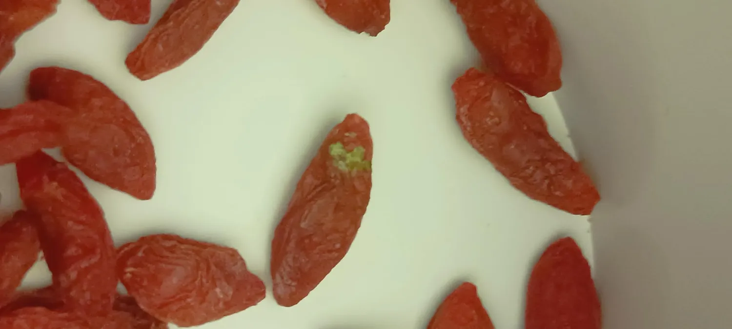 BULK Baies de Goji séchées 500 g sans additifs