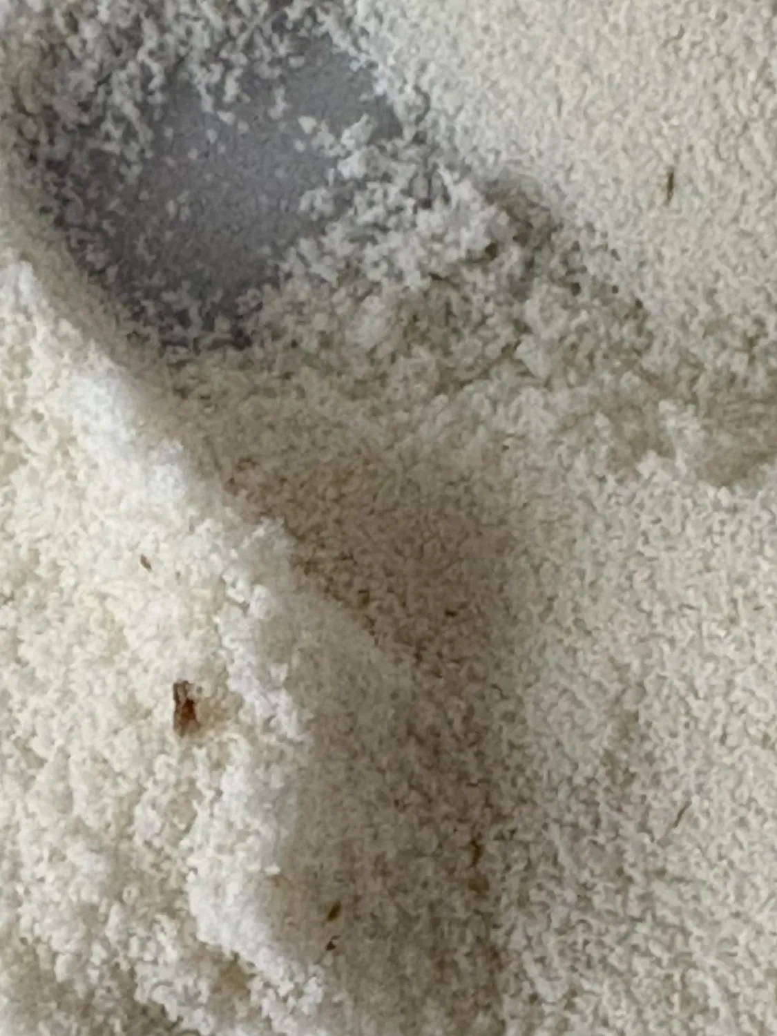 BULK Pure Whey Isolate 90 isolat de whey vanille 1 kg