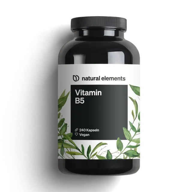 Natural Elements Vitamine B5 gélules 240, acide pantothénique